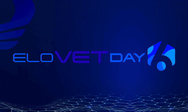 resumo elovetday6 blog