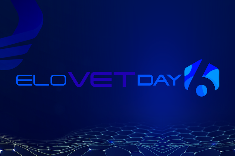 resumo elovetday6 blog